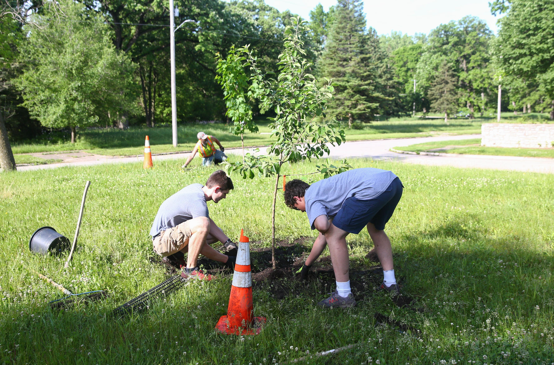 YIELD tree planting in Mason City (6).jpg